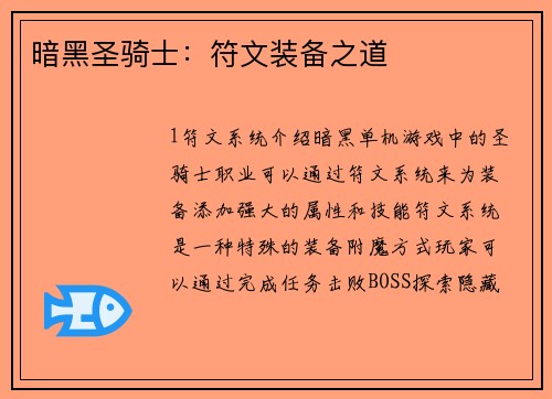 暗黑圣骑士：符文装备之道